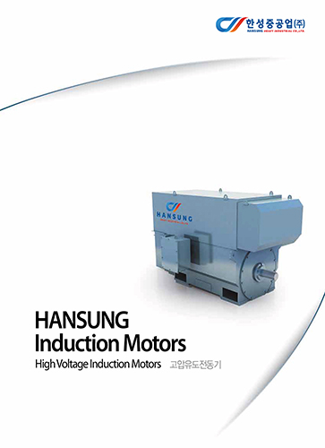 HVmotor_Kr.jpg